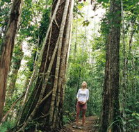 Wet Tropics - Sydney Tourism