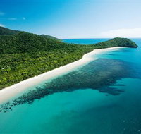 Cape Tribulation Daintree National Park - Sydney Tourism