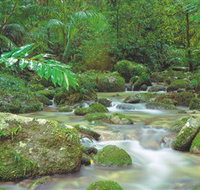 Mossman Gorge Daintree National Park - Sydney Tourism