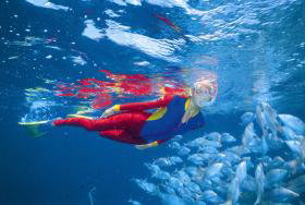 Great Detached Reef Dive Site - Sydney Tourism 0