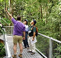 Daintree Discovery Centre - Sydney Tourism