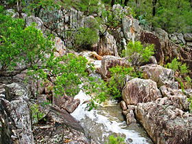 Crows Nest QLD Sydney Tourism