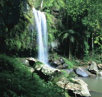Curtis Falls Joalah Section - Sydney Tourism