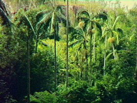 Monto QLD Sydney Tourism