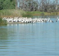 Lake Ross - Sydney Tourism