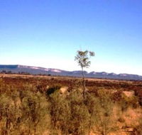 Tambos Wilderness Way - Sydney Tourism