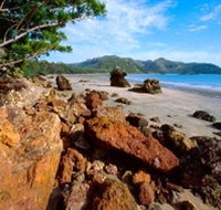 Diversity Boardwalk - Sydney Tourism
