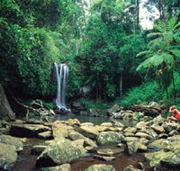 Tamborine National Park - Sydney Tourism