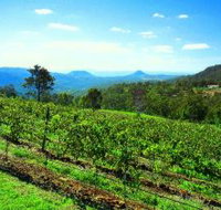 Preston Peak Wines - Sydney Tourism