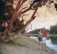 The Looking Glass - Sydney Tourism