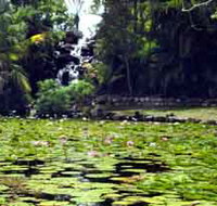 Queens Park Waterfall - Sydney Tourism