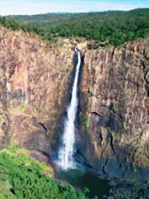 Gugigugi (Butterfly) Walk, Wet Tropics Great Walk - Sydney Tourism 0