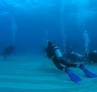 Egg Rock Dive Site