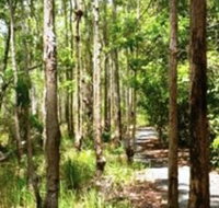 Hallorans Hill - Sydney Tourism