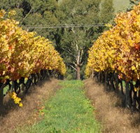 Wild Dog Winery  Restaurant - Sydney Tourism