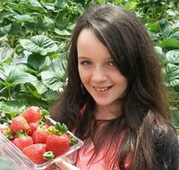 Yarra Valley Gateway Estate - Sydney Tourism