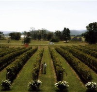 Rochford Wines - Sydney Tourism
