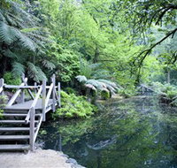 Alfred Nicholas Gardens - Sydney Tourism