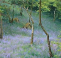 artWintergarden - Sydney Tourism