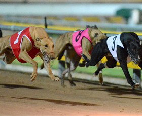 Corio VIC Sydney Tourism