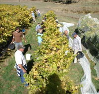 Blakes Estate Winery - Sydney Tourism