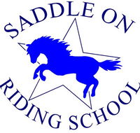 Saddle On Riding School