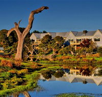 The Minya Vineyard  Winery - Sydney Tourism