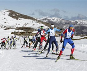 Bogong VIC Sydney Tourism