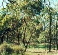 Leaghur State Park - Sydney Tourism