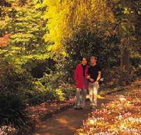George Tindale Memorial Gardens - Sydney Tourism
