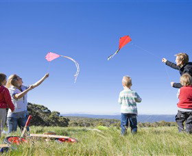 Dinner Plain Alpine Village - Sydney Tourism 0