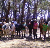 Bellarine Horse Riding Centre - Sydney Tourism