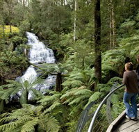 Great Otway National Park - Sydney Tourism