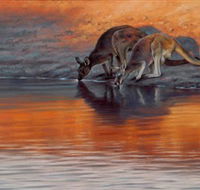 Steve Morvell Wildlife Art - Sydney Tourism