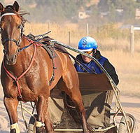Ballarat  District Trotting Club - Sydney Tourism