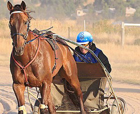 Ballarat & District Trotting Club - Sydney Tourism 0