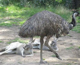 Bundoora Park - Sydney Tourism 0