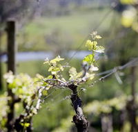 Main Ridge Estate - Sydney Tourism