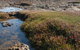 Ricketts Point Marine Sanctuary - thumb 0