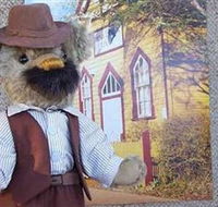 Stanley Bears - Sydney Tourism