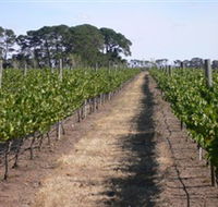 Mount Beckworth Wines - Sydney Tourism
