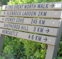 Great North Walk - Sydney Tourism