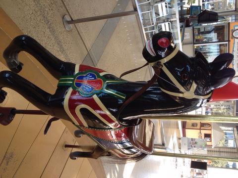 The Carousel - Sydney Tourism 4
