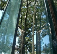 Sydney Sculpture Walk - Sydney Tourism