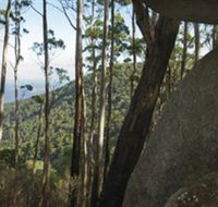 Gulaga National Park - Sydney Tourism