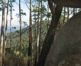 Gulaga National Park - Sydney Tourism 0