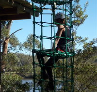 Trees Adventure Shoalhaven - Sydney Tourism