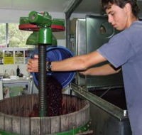 Fern Gully Winery - Sydney Tourism