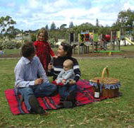 Blackbutt Forest Reserve - Sydney Tourism