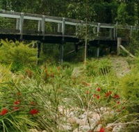 Eurobodalla Botanic Gardens - Sydney Tourism